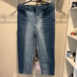 Style & Co Blue 2 tone Denim Jeans size 8P Ankle